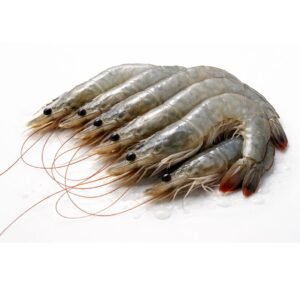 Camarón Vannamei Entero Vivo – Fresco Premium